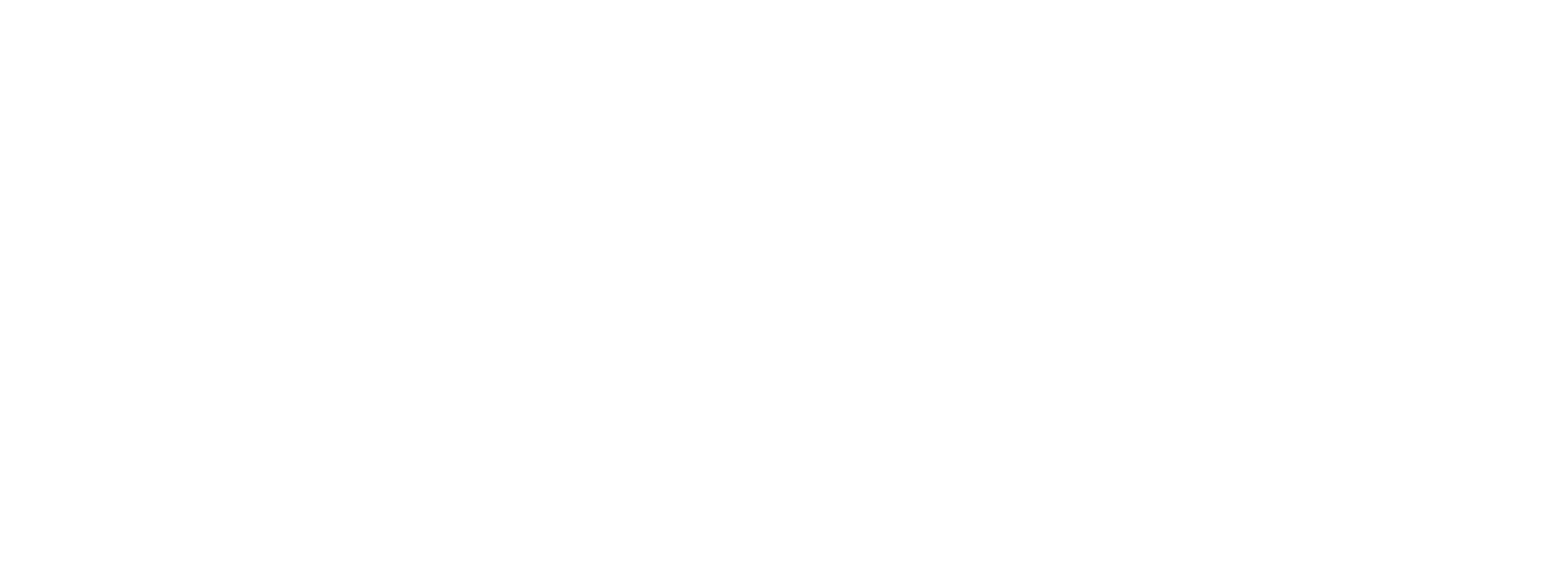Guías Locales